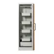 Sicherheitsschrank PROline 6/20 Typ 90
