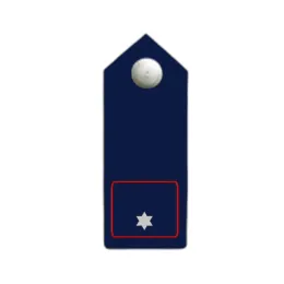 Schulterklappen, auf blauem Köper, Knopf silbern